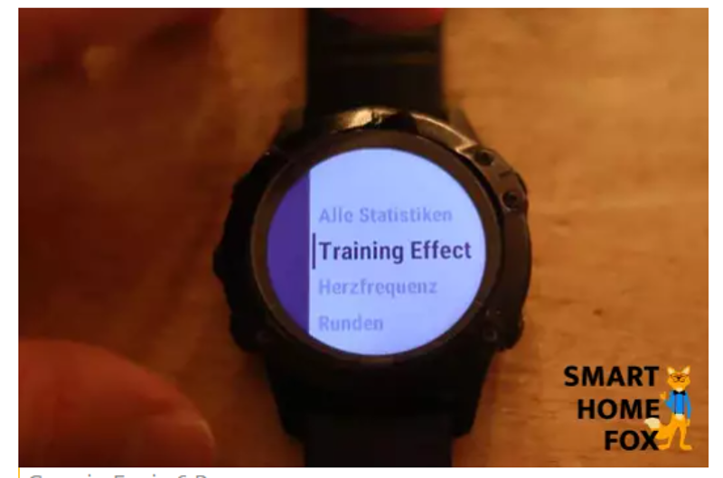 Garmin fenix 7